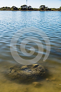 These rock like structures stromatolites on the edge of Lake Thetis are built by micro organisms too small for the human eye to