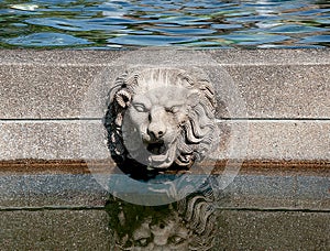 Rock lion on pool