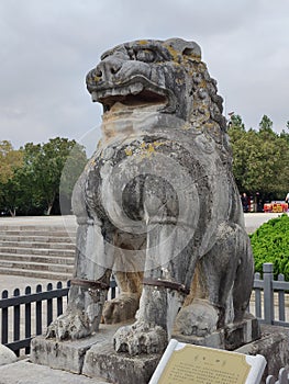 rock lion stature of Tang Dynasty photo