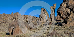 Rock that looks like Odie the dog