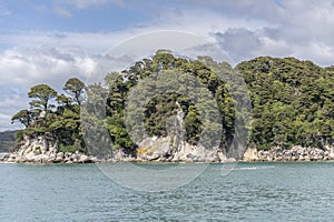 Rock and lush vegetation on cape at Frenchman bay, Abel Tasman park , New Zealand