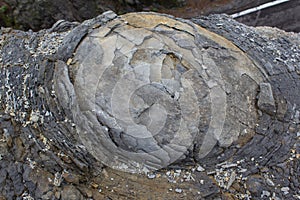 Rock macro, onion skin weathering / weathered stone texture