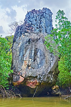 The rock in mangroves, Ko Thalu Ok Island, Phang Nga Bay, Thailand