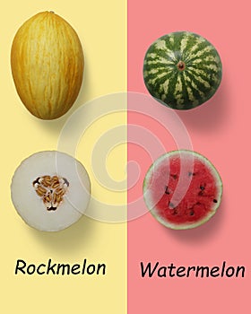 Rock melon half and watermelon