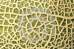 Rock Melon Skin Macro