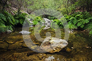 Rock in the middle of river stream Agualva