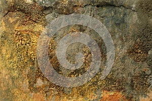 Rock, mold, moss and liken