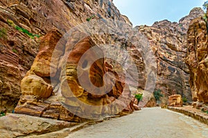 Rock monument resembling an elephant and a fish in the siq canyon at Petra, Jordan