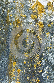 rock and moss background. Old wall structure.