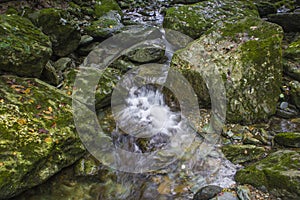 Rock moss and streams