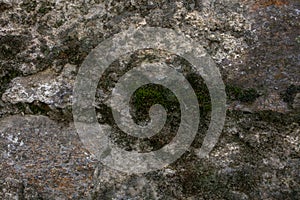 Rock and moss texture and background. Mossy stone background. Abstract texture and background for designers.