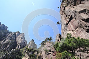 Rock, mountain, cliff, escarpment, tree, formation, terrain, sky, national, park, outcrop, klippe, tourism, adventure, mount, scen