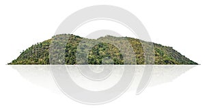 rock mountain with forest isolate on white background