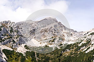 Rock mountain and green autumn fall forest in Julian Alps Julijske Alpe Alpi Giulie Alps, Slovenia Slovenija