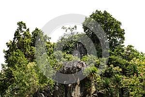 rock mountain hill with  green forest isolate on white background