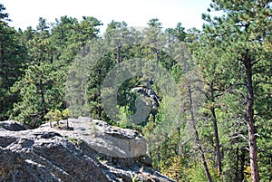 Rock in Mountain Landscape in The Black Hills, South Dakota