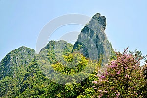 Rock Mountain : Loei, Thailand