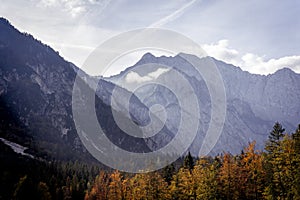 Rock mountain, orange autumn fall forest, Julijske Alpe Alpi Giulie, Julian Alps, Slovenia Slovenija