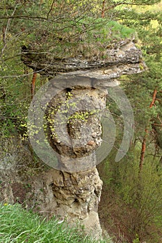 Rock mushroom in Markusovce, Slovakia