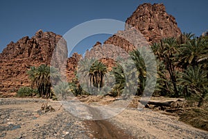 Rock and oasis scenes in Wadi Disah in Tabuk Region, Saudi Arabia