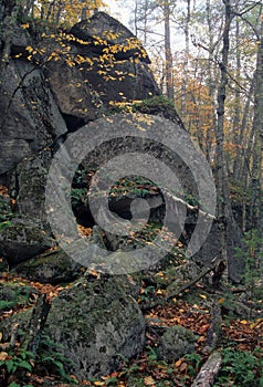 Rock Outcrop, Fall Woods- New Hampshire photo