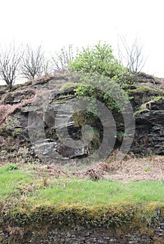 Rock outcrop in south Wales valleys