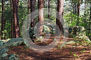 Rock Outcrop on Woodland Trail