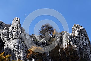 Rock outcroppings in autumn, with the moon