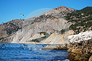 Rock outlier on the background of mountain