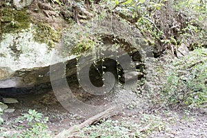 Rock overhang with vines