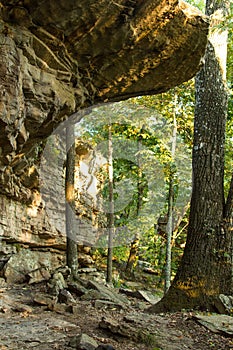 Rock overhang in the woods photo