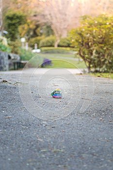 A rock painted with the lgbtq pride colors and the word love on it on a walking path in a park