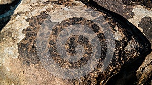 Rock painting aka petroglypgs at the field in Cholpon-Ata, Issyk-kul, Kyrgyzstan