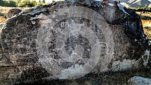 Rock painting aka petroglypgs at the field in Cholpon-Ata, Issyk-kul, Kyrgyzstan