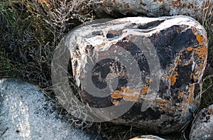 Rock painting aka petroglypgs at the field in Cholpon-Ata, Issyk-kul, Kyrgyzstan