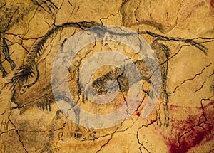 Rock painting from Altamira cave photo