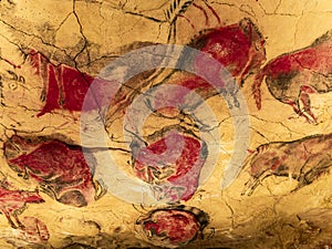 Rock paintings from Altamira cave photo