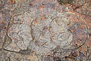 Rock paintings, petroglyphs near the Kherson lighthouse. Crimea