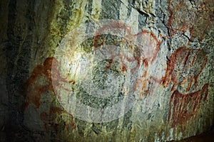 Rock paintings in a stone cave of an ancient prehistoric Neanderthal man. Mammoth. stone Age. Ice Age. Shulgan Tash Cave