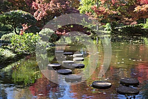 Rock path in pretty Japanese garden