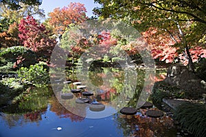 Rock path in pretty Japanese garden