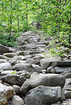 Rock path smoky mountains