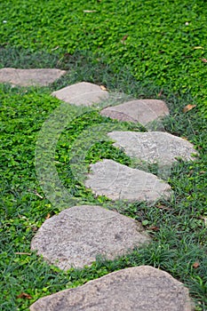 Rock Pathway on green lawn