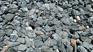 Rock pattern 20mm aggregate photo