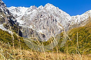 Rock peak with white snow and golden spica in autumn