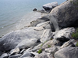 Rock and plant on the beach