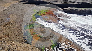 The Rock Platform at Moonee Beach with colourful red and green algae growing on the rocks