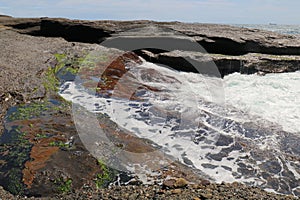 The Rock Platform at Moonee Beach with colourful red and green algae growing on the rocks