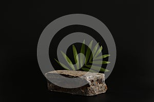Rock podium on the black background with tropical leaves. Stone podest for product, cosmetic presentation. Creative mock