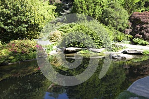 Rock, pond, carp fish in Kubota garden photo